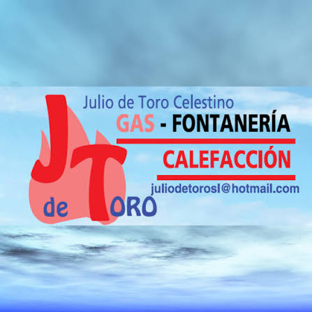JULIO DE TORO